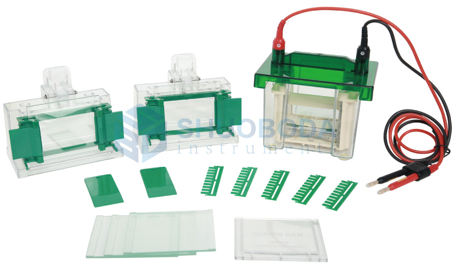 CY3 Vertical Electrophoresis Apparatus for up to two 8.3×7.3cm Gels