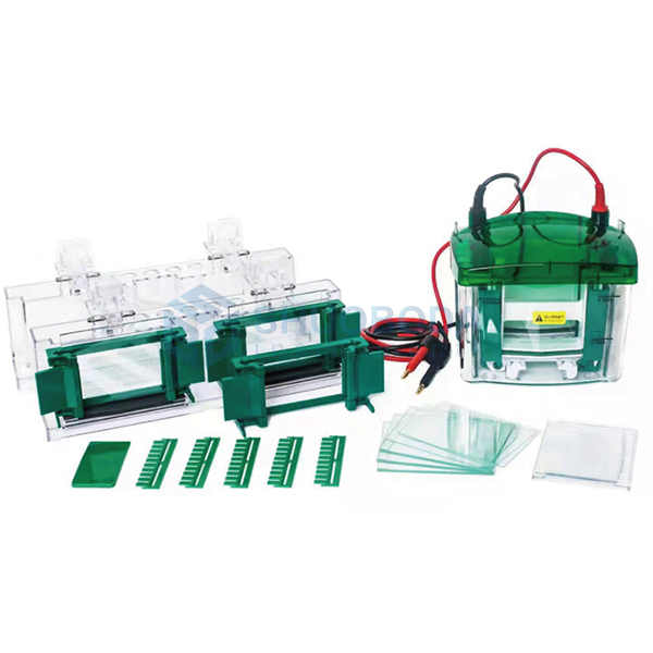 CY4 Vertical Electrophoresis Tank for 1-4 gels