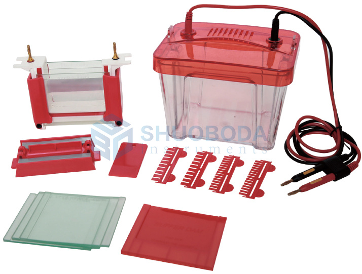 CY2 Vertical Protein Electrophoresis System for up to two 83×73 mm Gels